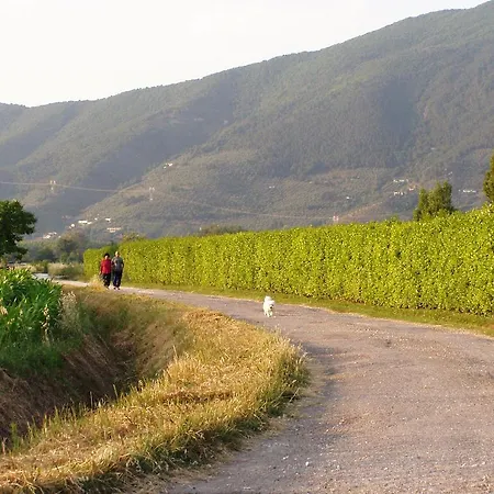 Vakantieboerderij La Pisana *