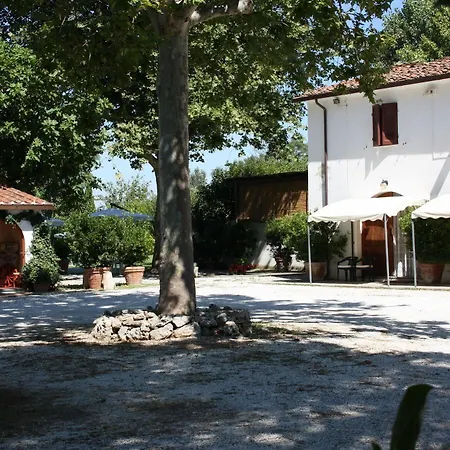 La Pisana * Pisa